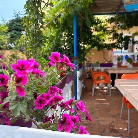 Vila Laura Pasha Βίλα Εξαμίλιο Εξωτερικό φωτογραφία