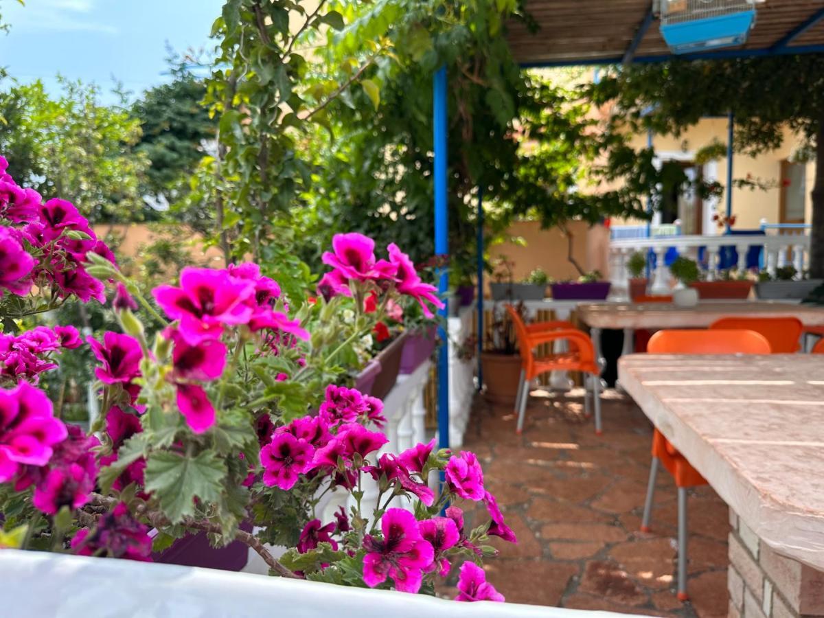 Vila Laura Pasha Βίλα Εξαμίλιο Εξωτερικό φωτογραφία